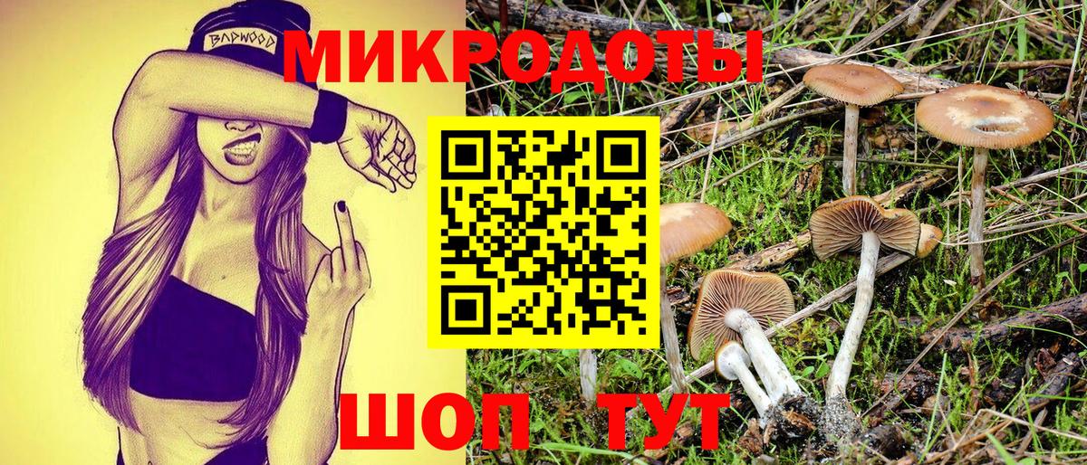 Псилоцибиновые грибы GOLDEN TEACHER  как найти закладки  Балашов  Вход с VPN 