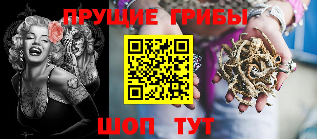 Псилоцибиновые грибы мицелий  где продают наркотики  Балашов 